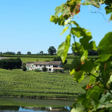 Konukevi La Maison Du Chai Castelnau-de-Montmiral